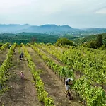 Casale Toscano A * Лукка