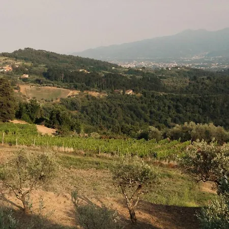 Casale Toscano A * Lucca