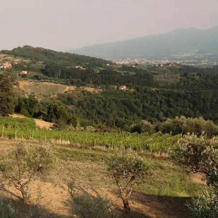 別荘 Casale Toscano A