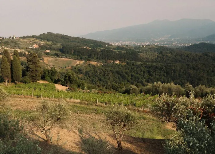 Casale Toscano A * ルッカ